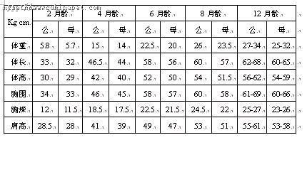 三个月瘦了六斤正常吗？解析澳门居民的体重变化与健康