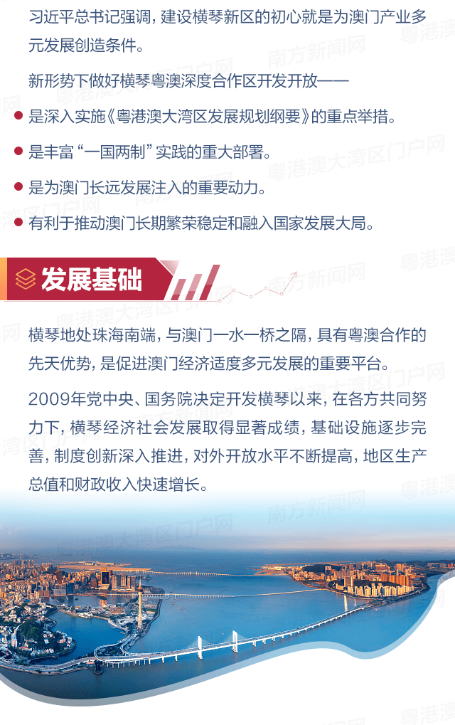 澳门与广东省选调生报录比，人才流动与区域合作的深度解析