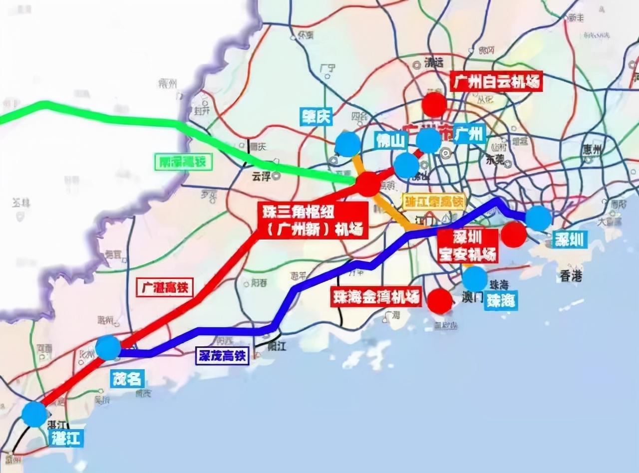 澳门与广东省阳江市宠物文化的交汇