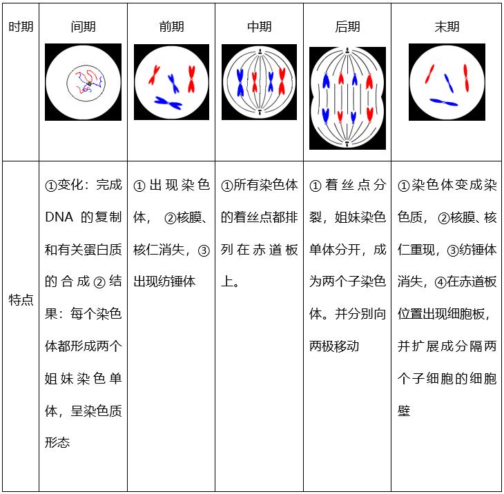 仁齐科技江苏投资，开启智能科技新篇章