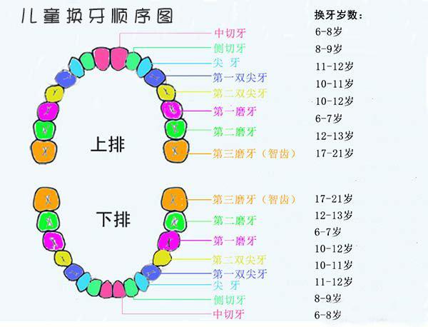 七个月宝宝没长牙，探索乳牙萌出的奥秘