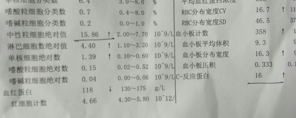 3个月婴儿白细胞正常值及其重要性