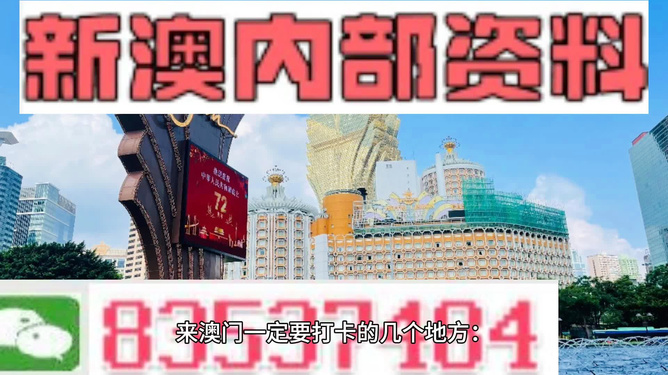 澳门知识探索，广东莱立网络有限公司的崛起与影响