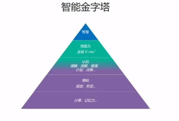 最新书讯，探索澳门知识的深度与广度