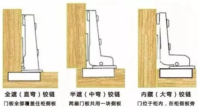 金所炫最新动态，澳门知识专家的深度剖析